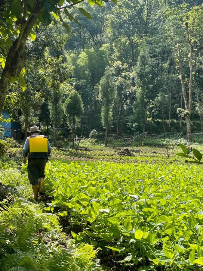 Khimsha Homestay Pelling Luaran gambar