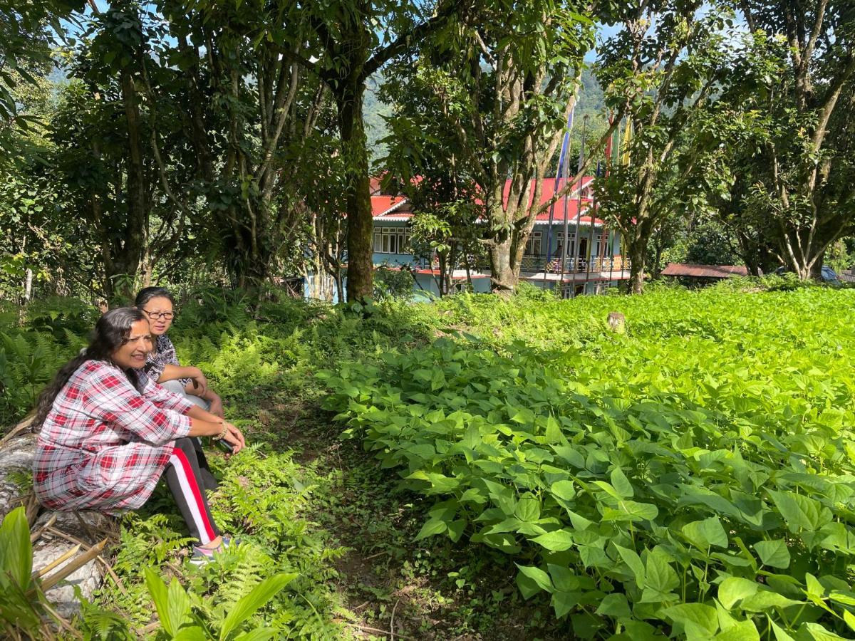 Khimsha Homestay Pelling Luaran gambar